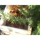 Bumble Bee Nesting Box